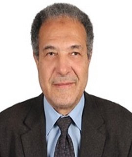 Prof. Dr. Ahmed G. Hegazi