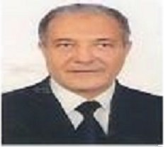 Prof. Dr. Ahmed G.Hegazi