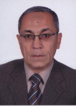 Prof. Dr. Baher Effat